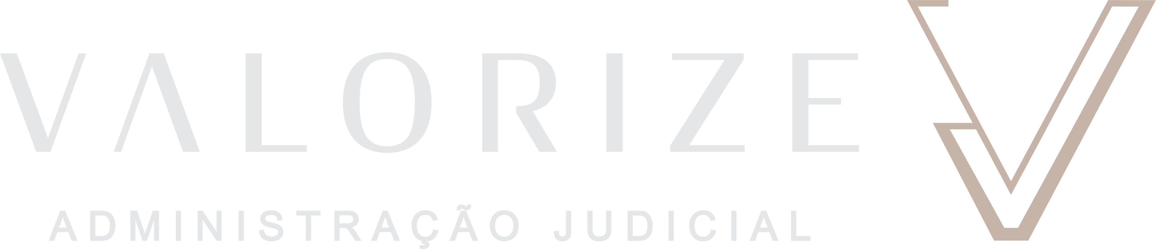 Valorize Administração Judicial